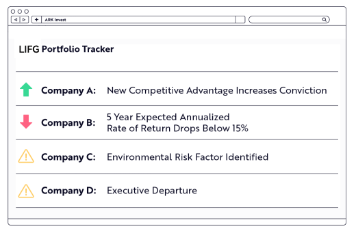 LIFG Investment process