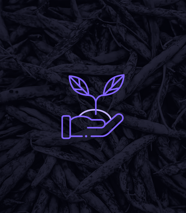 Sustainable Future of Food, rize etf, LIFG Invest europe, sustainable